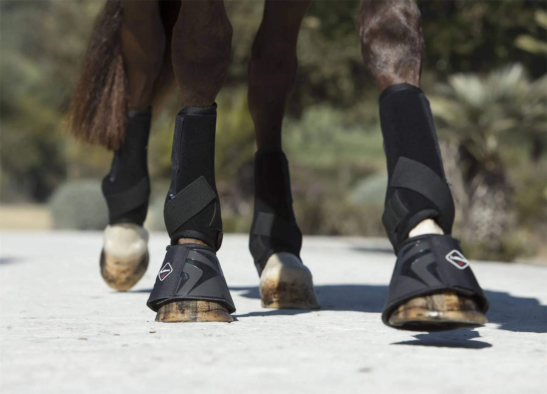 LeMieux Ultra Support Boots