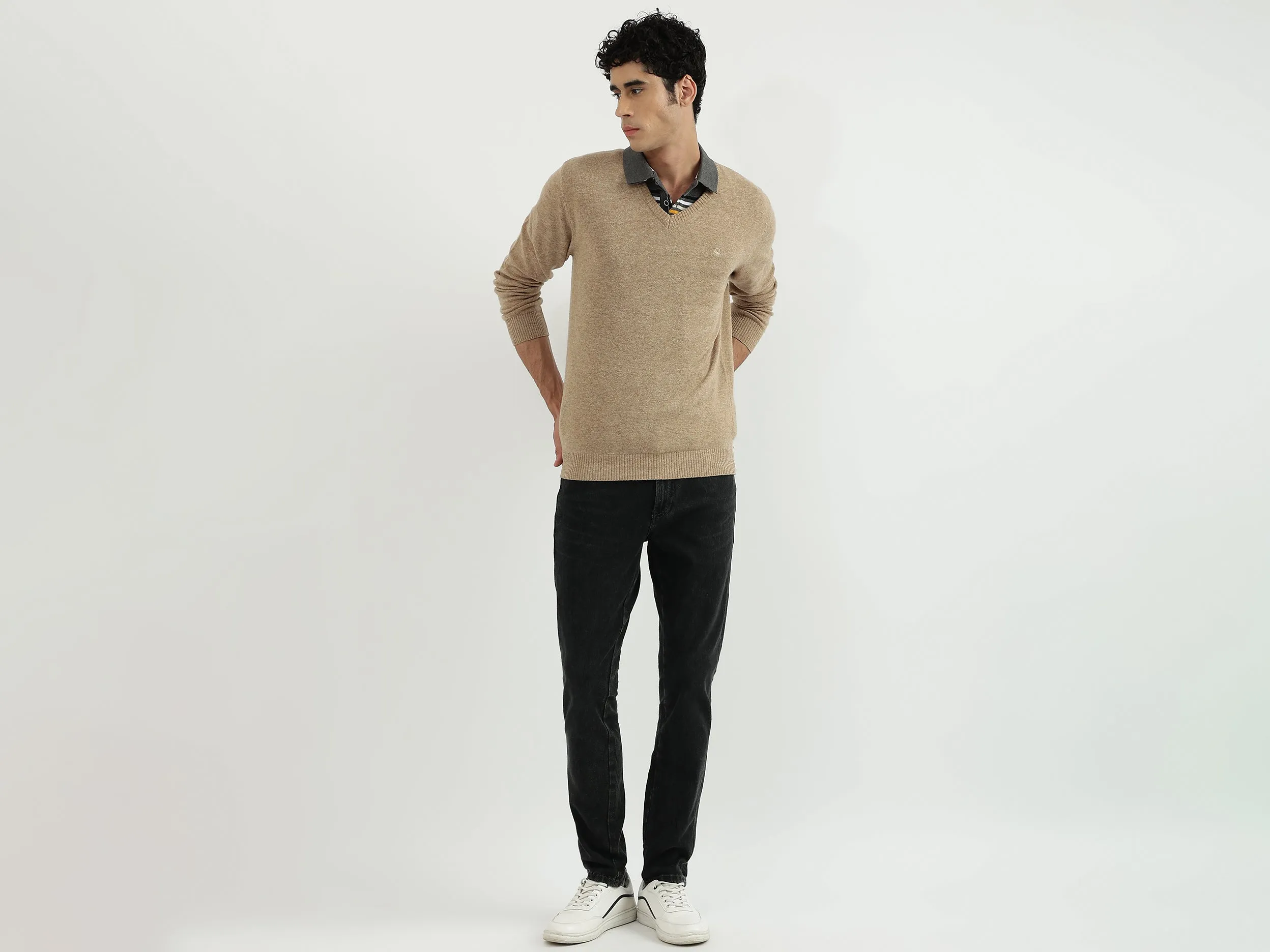 Men Solid V-Neck Sweater