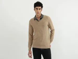 Men Solid V-Neck Sweater