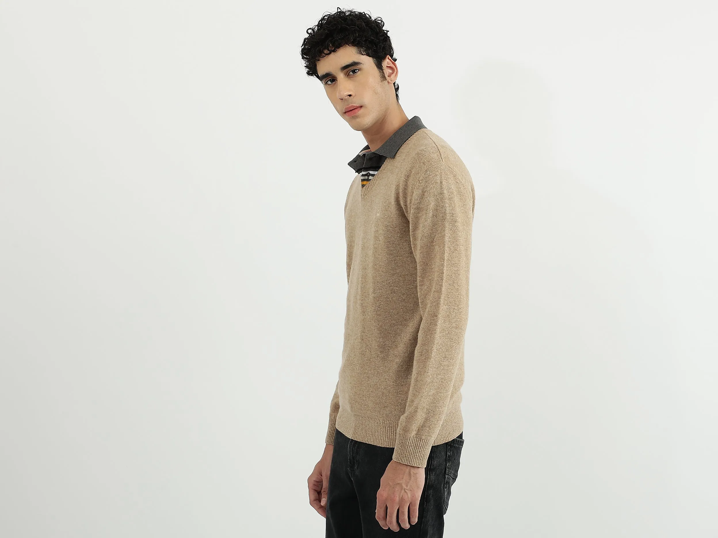 Men Solid V-Neck Sweater