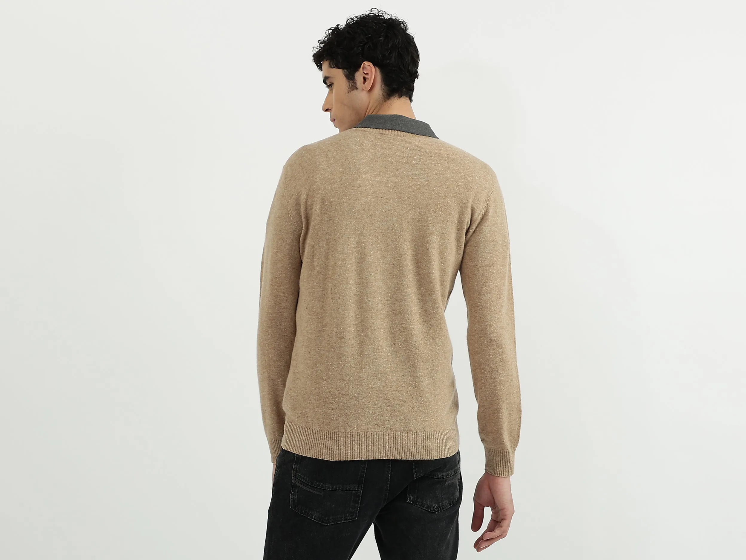 Men Solid V-Neck Sweater